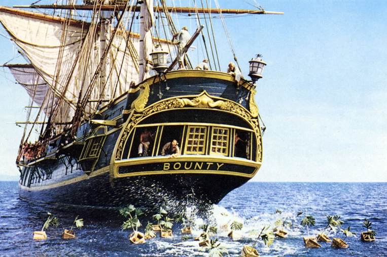 Le Bounty Day rend hommage au Captain Bligh