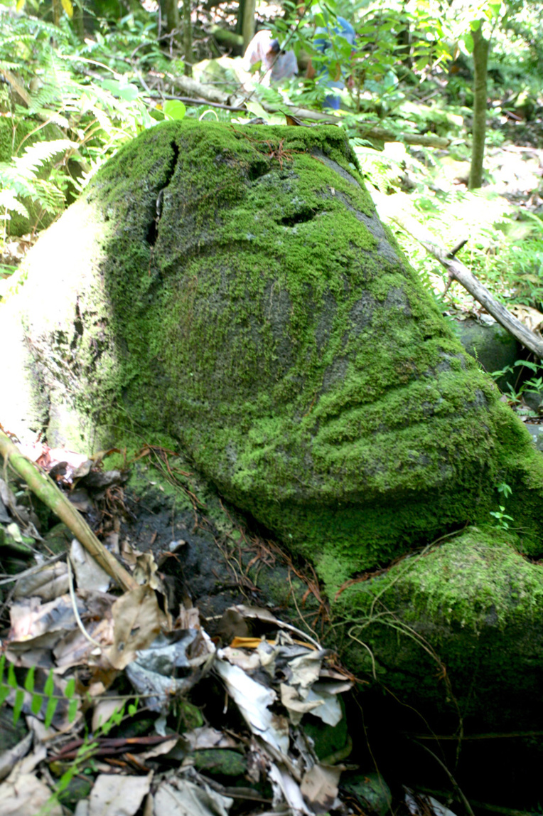 Le majestueux tiki veillant sur la vallée, caché dans la végétation sur les hauteurs de Aakapa, objet de notre recherche.