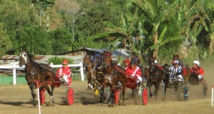 (Photo d'illustration) (Photo d'illustration)