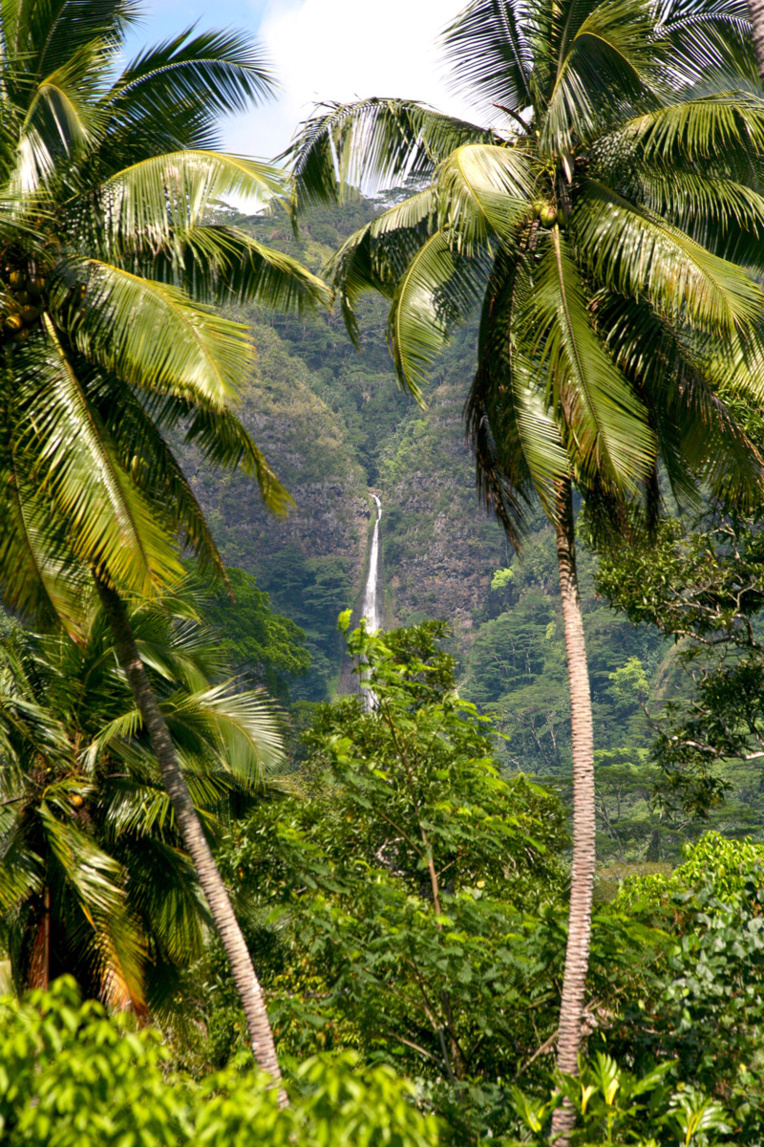 Au fond de la vallée de Taipivai, une magnifique cascade offre ses eaux fraîches aux promeneurs. Au fond de la vallée de Taipivai, une magnifique cascade offre ses eaux fraîches aux promeneurs.