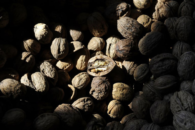 Consommer régulièrement des fruits à coque réduirait le risque cardiovasculaire Consommer régulièrement des fruits à coque réduirait le risque cardiovasculaire