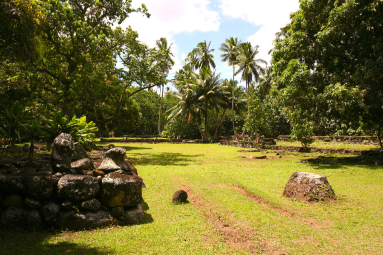 Une vue générale du tohua Hikokua, parfaitement bien entretenu. Une vue générale du tohua Hikokua, parfaitement bien entretenu.