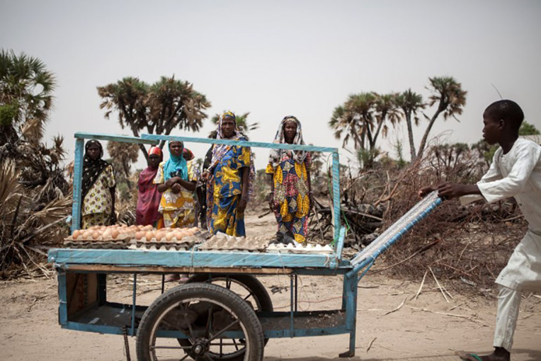 Nord-est du Nigeria: au moins 50 morts dans un attentat-suicide Nord-est du Nigeria: au moins 50 morts dans un attentat-suicide