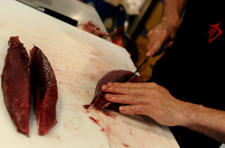 Thon rouge: les quotas fortement revus à la hausse environnement Thon rouge: les quotas fortement revus à la hausse environnement