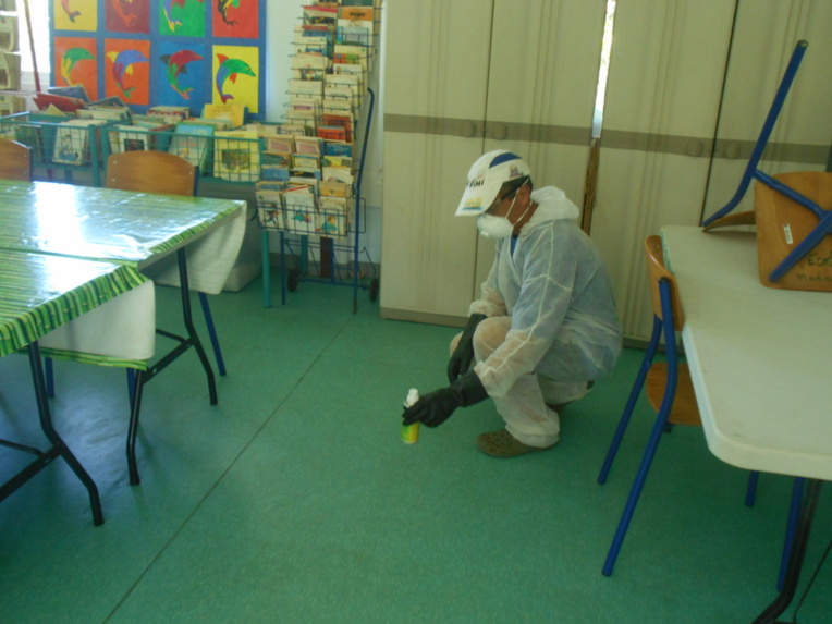 Prolifération de puces à l’école de Maharepa : l’établissement fermé pour deux jours