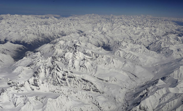 Le Yéti? Un ours des hautes montagnes de l'Asie, selon des analyses ADN Le Yéti? Un ours des hautes montagnes de l'Asie, selon des analyses ADN