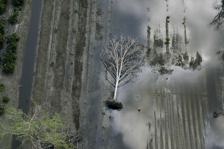 USA: la montée des océans menace des milliers de sites historiques USA: la montée des océans menace des milliers de sites historiques