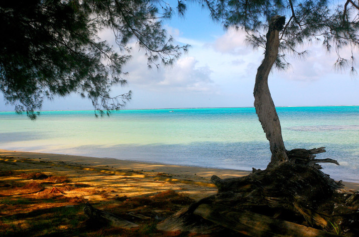 La plus grande île des Australes (45 km2) offre avant tout des plages magnifiques aux visiteurs.