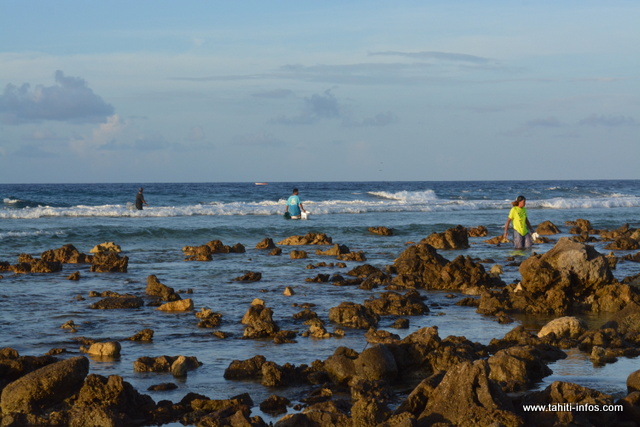 Contrairement à Tahiti, les "ina'a" de Makemo se pêchent dans la mer. Ici, les jeunes de l'atoll s'en donnent à coeur joie.