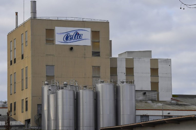 Salmonelle: le gouvernement annonce un retrait massif de laits infantiles Lactalis Salmonelle: le gouvernement annonce un retrait massif de laits infantiles Lactalis
