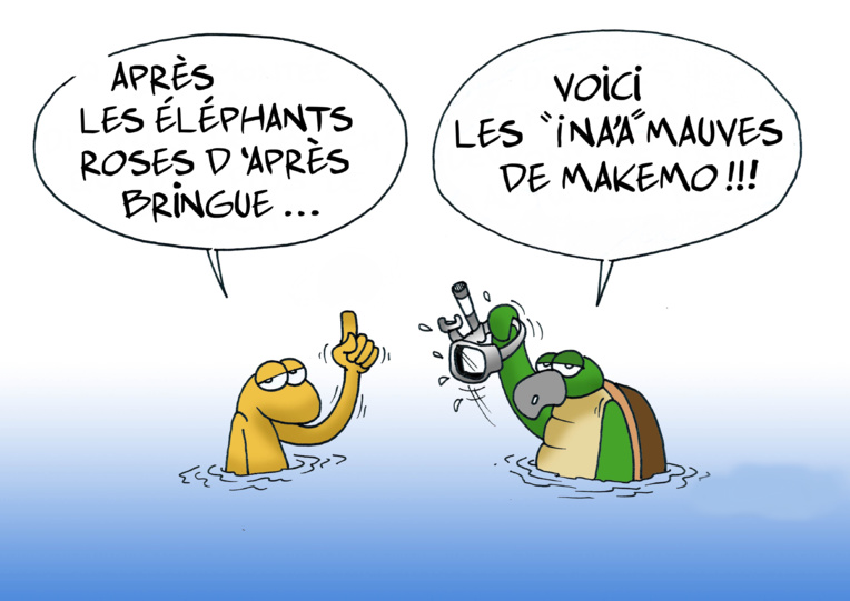 " Des "ina’a" roses et mauves à Makemo " vu par Munoz " Des "ina’a" roses et mauves à Makemo " vu par Munoz