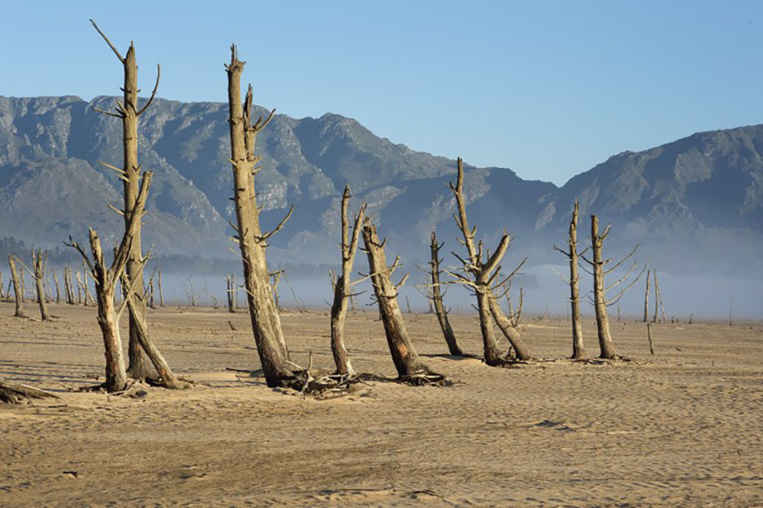 Le réchauffement climatique, seul responsable de la canicule en 2016 Le réchauffement climatique, seul responsable de la canicule en 2016