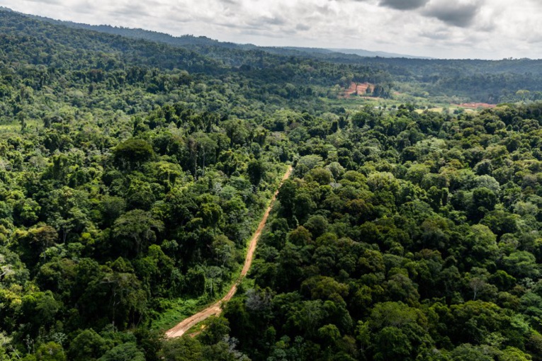 Guyane: Décès d'un militaire en opération contre l'orpaillage Guyane: Décès d'un militaire en opération contre l'orpaillage