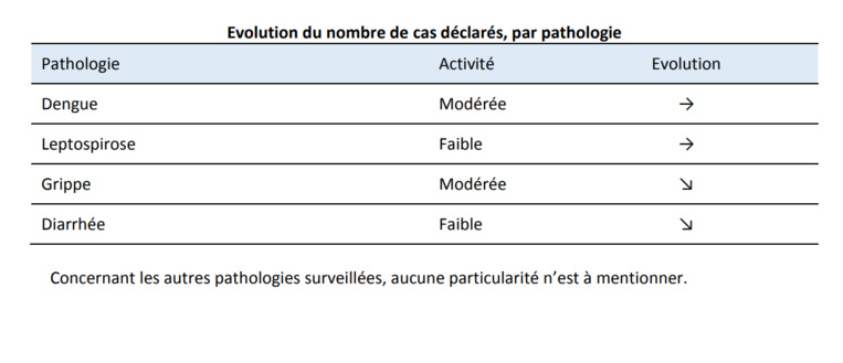 Veille sanitaire : bilan de surveillance des semaines 49 et 50 en Polynésie