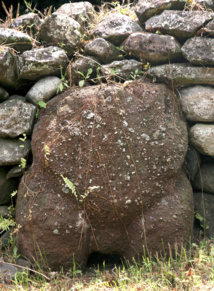 Paeke : les tiki des Taïpi Paeke : les tiki des Taïpi