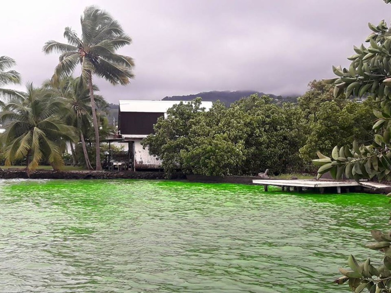 Comment une rivière de Arue est devenue vert fluo Comment une rivière de Arue est devenue vert fluo