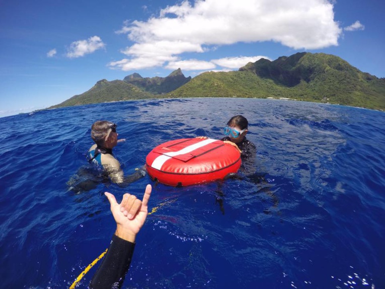 Moorea, spot idyllique pour faire de l'apnée Moorea, spot idyllique pour faire de l'apnée