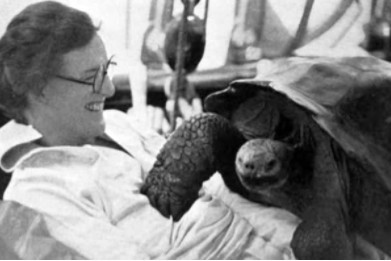 Cornelia Byce Pinchot avec Rosie, une des tortues des Galapagos embarquée sur leur goélette « Mary Pinchot » en 1929