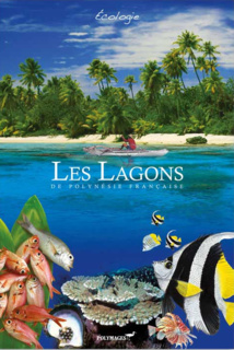 Immersion totale dans L'Océan marquisien