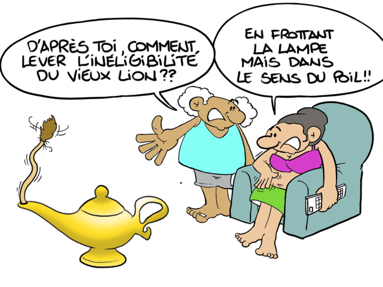 " L'inéligibilité de Flosse " par Munoz " L'inéligibilité de Flosse " par Munoz