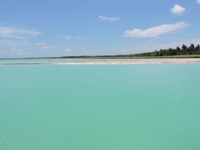 Crédit : Mélanie Thomas. Crédit : Mélanie Thomas.