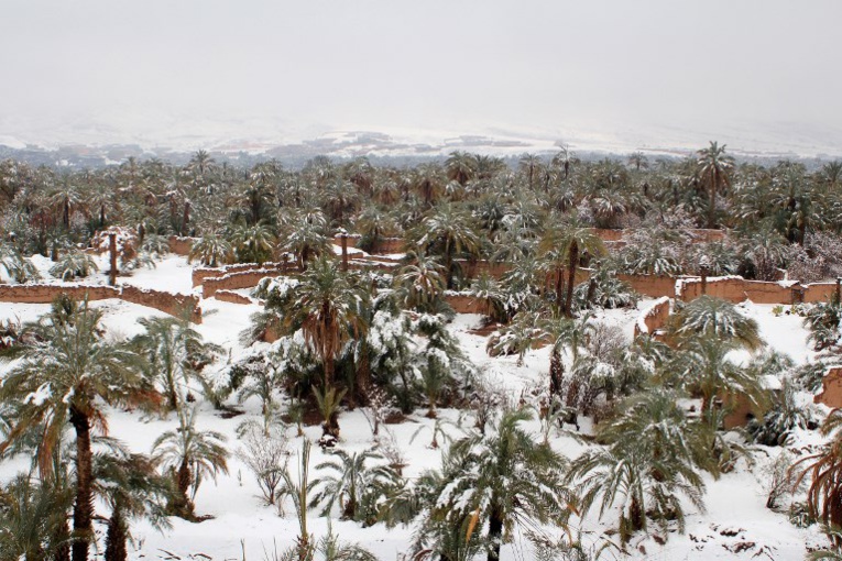 Des chutes de neiges inhabituelles dans le désert marocain Des chutes de neiges inhabituelles dans le désert marocain
