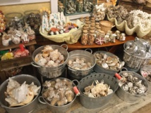 Un échantillon de souvenirs vendus dans une butique de HawaIIi: tout y passe, coquillages, étoiles de mer, coraux, et même petites mâchoires de requins!