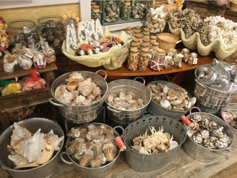 Un échantillon de souvenirs vendus dans une boutique de Hawaii ; tout y passe, coquillages, étoiles de mer, coraux et même des petites mâchoires de requin !