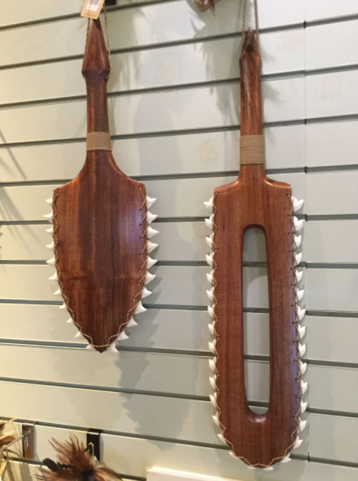 Deux exemples d’armes hawaïennes réalisées avec des dents de requins tigres, principale espèce massacrée pour la fabrication de ces curios.
