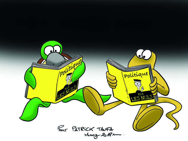 " La politique pour les nuls " par Munoz " La politique pour les nuls " par Munoz