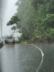 Encore de la pluie pour les prochains jours Encore de la pluie pour les prochains jours