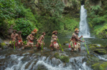 Frère des arbres : une vision du monde