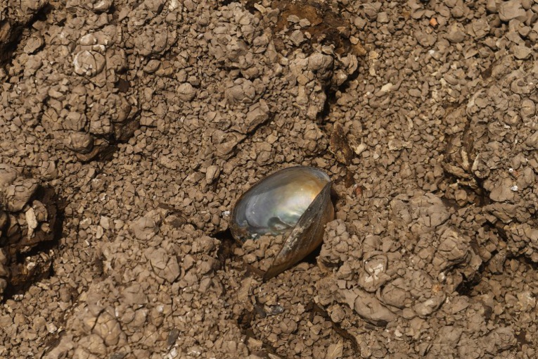 Le changement climatique, la goutte de trop pour les réserves d'eau Le changement climatique, la goutte de trop pour les réserves d'eau