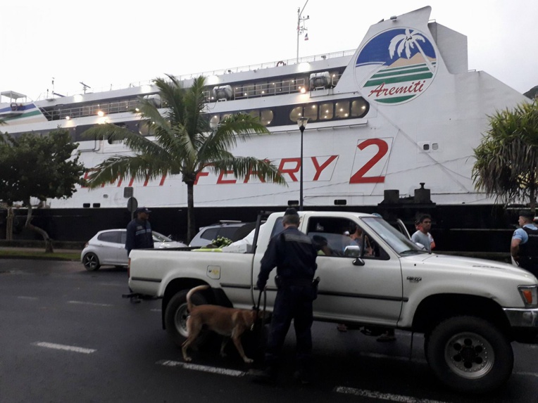 Moorea : les forces de l’ordre contrôlent l’Aremiti et les bus scolaires Moorea : les forces de l’ordre contrôlent l’Aremiti et les bus scolaires