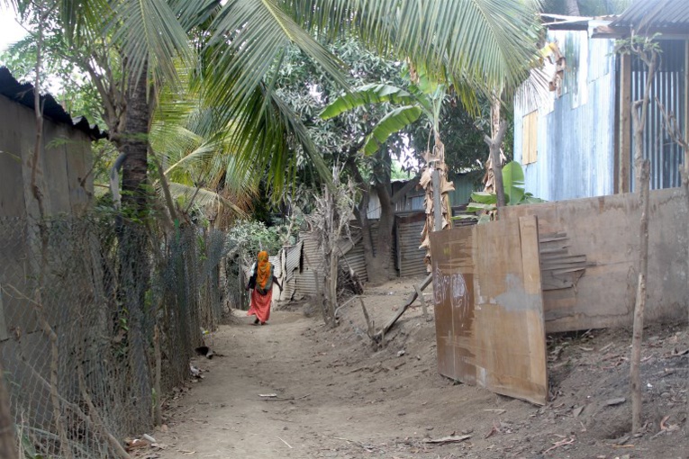 Mayotte : un taux de chômage parmi les plus importants de France