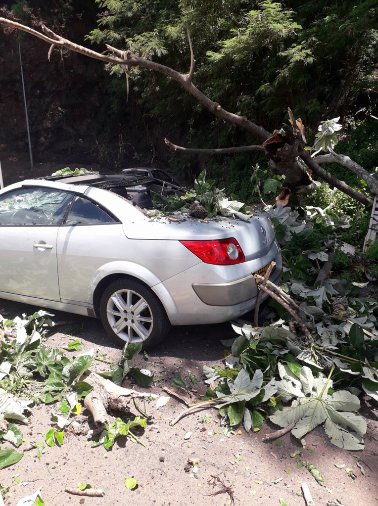 Papeete : un arbre tombe sur une voiture