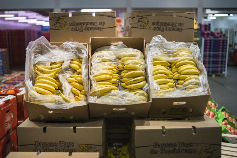 Les producteurs antillais lancent une "banane équitable"