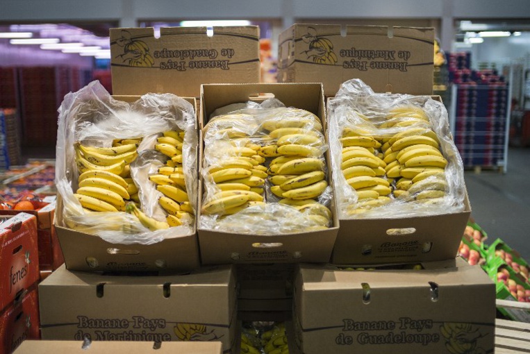 Les producteurs antillais lancent une "banane équitable" Les producteurs antillais lancent une "banane équitable"