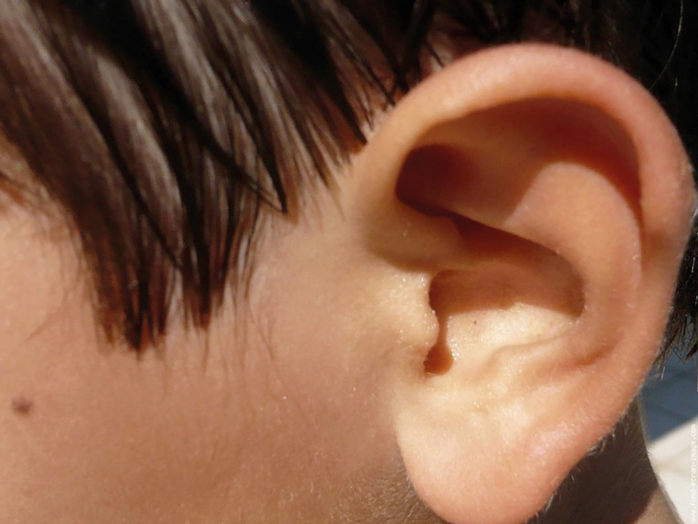 Page enfant : Les neuf sens du corps humain Page enfant : Les neuf sens du corps humain