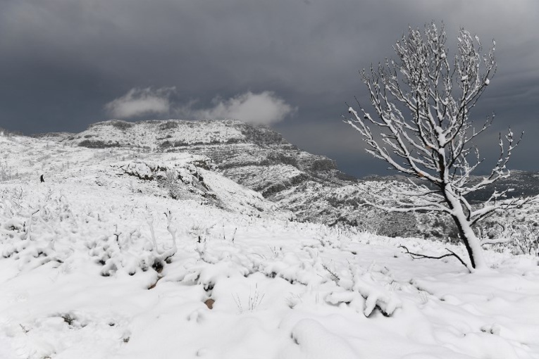 Le Sud sous la neige après la nuit la plus froide de l'hiver Le Sud sous la neige après la nuit la plus froide de l'hiver