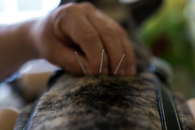 Les médecines douces arrivent dans les fermes