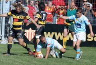 Top 14 - Perpignan et Toulon en demies, barrage à domicile pour Clermont et Toulouse