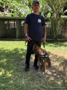 Brigade cynophile : quatre mūto'i de Papeete certifiés