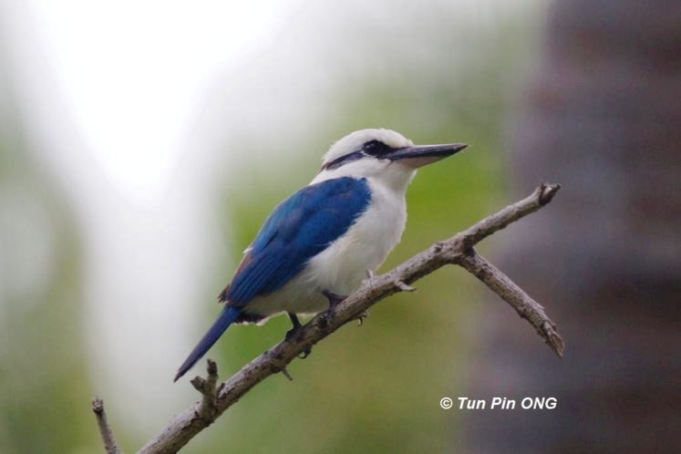 Assemblée générale de l'association Manu Assemblée générale de l'association Manu