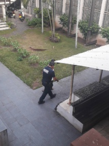 Un an de prison ferme pour avoir frappé son tane