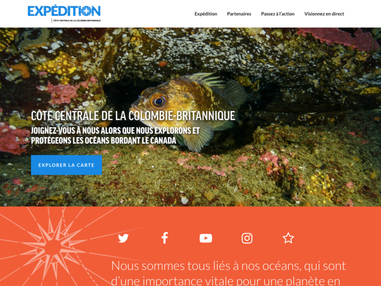 Canada: les secrets de fonds marins vierges dévoilés aux internautes Canada: les secrets de fonds marins vierges dévoilés aux internautes