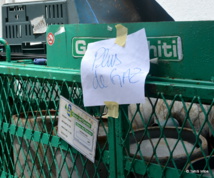 Grèves : Papeete ville fantôme ce jeudi