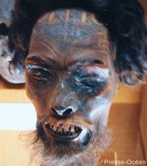 Presse Océan: La tête de ce guerrier maori fut longtemps exposée au rez-de-chaussée du muséum d'histoire naturelle de Nantes.