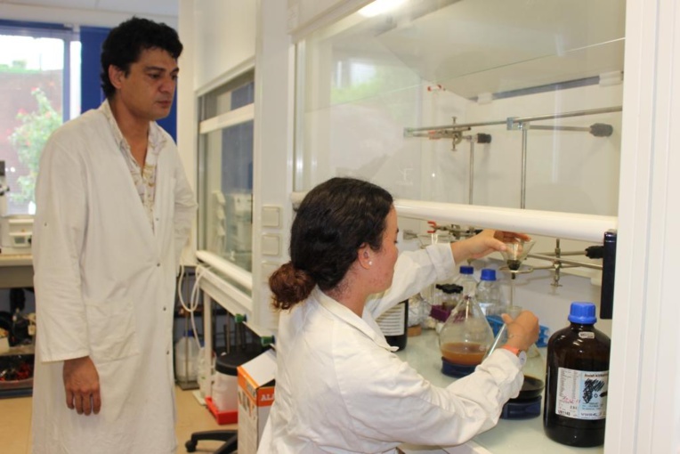 ‘Uru et banane, des plantes aux nombreuses vertus ‘Uru et banane, des plantes aux nombreuses vertus