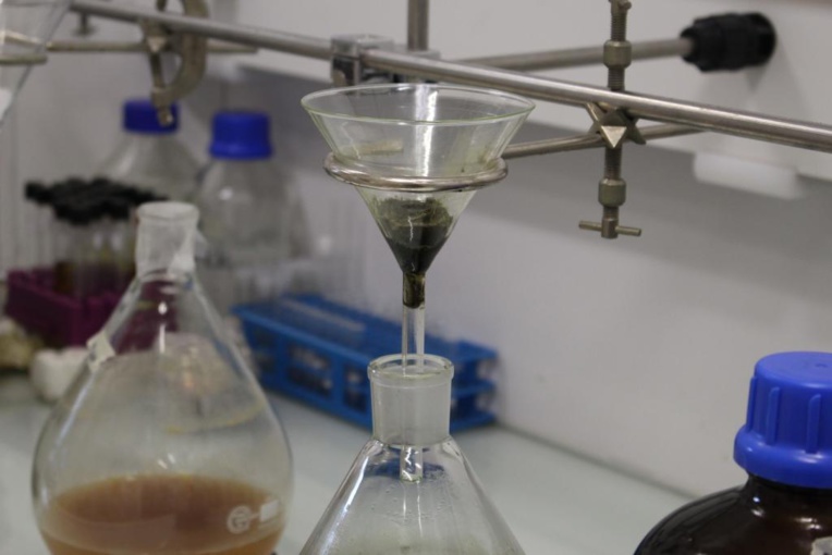 ‘Uru et banane, des plantes aux nombreuses vertus ‘Uru et banane, des plantes aux nombreuses vertus